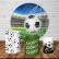 PAINEL E TRIO FUTEBOL